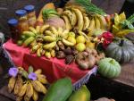 Harvest from Maya milpa gardens.
