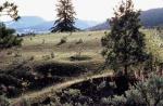 The archaeological remains of an ancient earth oven in Secwepemc traditional territory