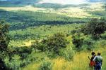 Kenya Maasai ethnobotany project