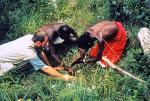 Kenya making fire