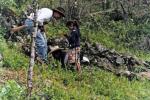 Marielene teaches the ethnobiologist about local plants