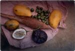 22nd Annual Conference, Oaxaca City (1999) 