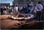 22nd Annual Conference, Oaxaca City (1999) 