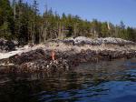 Campania Island along the inside passage of the north coast of British Columbia.