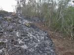 This photo shows how burning is controlled with a fire break, an experienced traditional milpaero knows how to burn in the evening when the wind is low without threatening the surrounding vegetation.