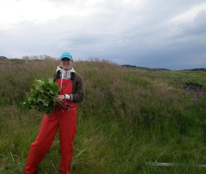 Dr.  Oberndorfer collecting rhubarb for Aunt Annie Evans at Turnaviks (photo by Todd Broomfield)