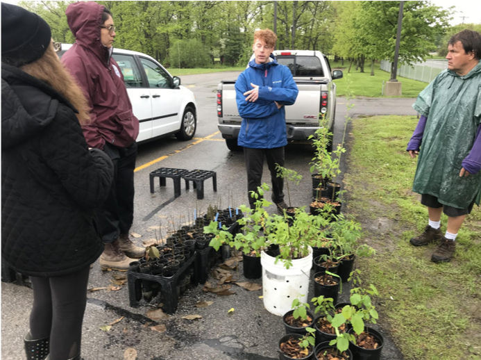 The Skaru:rę Food Forest | Society of Ethnobiology