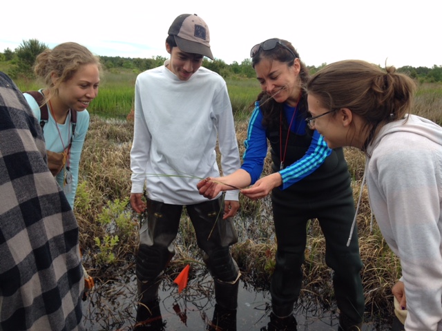 Daniela Shebitz showing plants in Pine Barrens