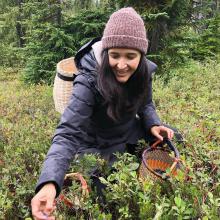 Joseph harvesting blueberries near Squamish, B.C.