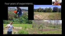 Spring 2026 Distinguished Ethnobiology Speaker Natalie Mueller