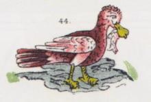 TLĀUH-QUECHŌL, the Roseate Spoonbill (Dibble & Anderson, 1963, Figure 44, after Paso y Troncoso).